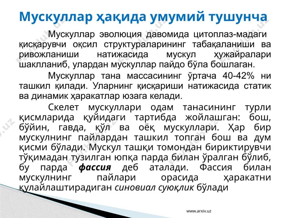 мускулларнинг тузилиши, вазифалари ва аҳамияти - Page 3