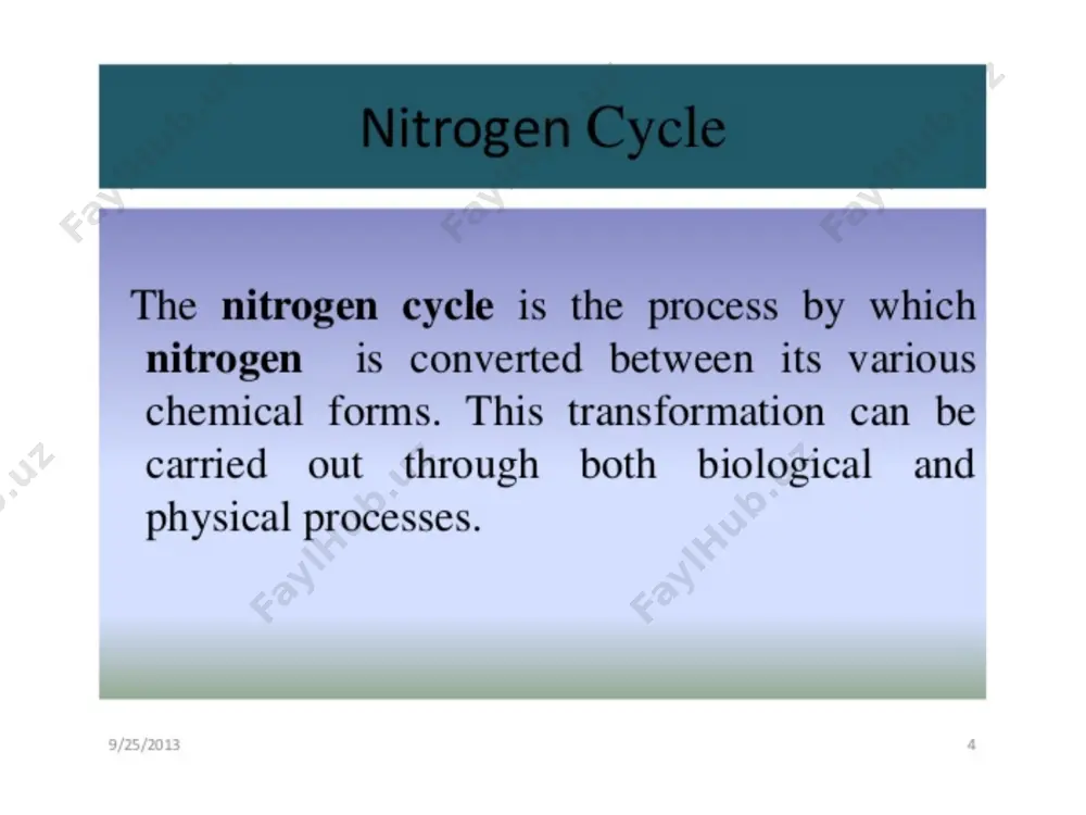nitrogen cycle - Page 3
