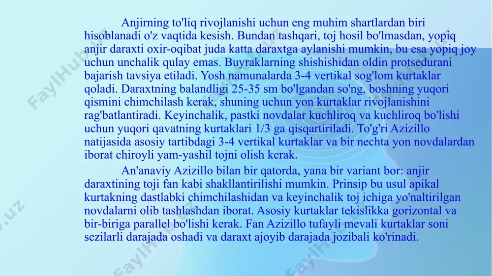 anjir ko'chatini yetishtirish texnologiyasi - Page 5