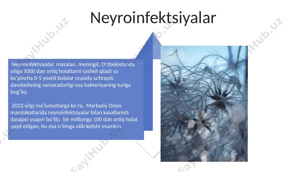 nerv sistemasi kasaliklari - Page 4