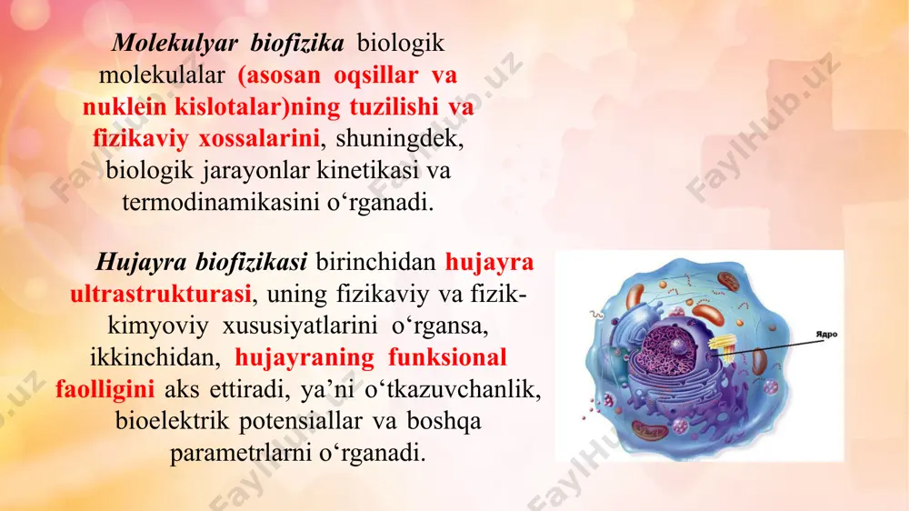 zoqlashtirish va yaqinlashtirish) harakatlar bo'lib turadi. 2.do'ngli bo'g'im (masalan, tizza bo'g'imi). 3.egarsimon bo'g'im (masalan, i barmoqning kaft usti kaft bo'g'imi); bunday bo'g'imda bir-biriga tik ikki o'q atrofida: frontal o'q bilan (bukish va yozish) sagittal o'q atrofida (uzoqlashtirish va yaqinlashtirish) harakatlari bo'lib turadi. ko'p o'qli bo'g'imlar. 1.sharsimon bo'g'imlar (masalan, yelka bo'g'imi). bularda bir-biriga tik bo'lgan va boshchasining markazida bir-biri bilan kesishadigan uchala asosiy o'q tafovut qilinadi. sharsimon bo'g'im barcha bo'g'imlarning eng erkini hisoblanib, unda oldinga va orqaga bukish, uzoqlashtirish va yaqinlashtirish, ichkariga va tashqariga aylantirish harakatlari bo'lib turadi. 2.yassi bo'g'imlar (masalan, umurtqalararo bo'g'imlar). bularda deyarli yassi bo'g'im yuzalari bo'ladi. bo'g'im yuzalari tafovuti bularda arzimas bo'lgani uchun harakatlarining hajmi ham katta emas. anatomiyada richaglarni ikki xil ko‘rishida bir-biridan farqlashadi: birinchisi - kuch richaglari bo‘lib bularda kuchdan yutib, ko‘chishdan yutqaziladi, ikkinchisi — tezlik richaglari bo‘lib, bularda kuchdan yutqazib, ko‘chish tezligidan yutiladi. pastki jag‘ tezlik richagiga yaxshi misol bo‘la oladi. ta’sir qiluvchi kuchni chaynov …
