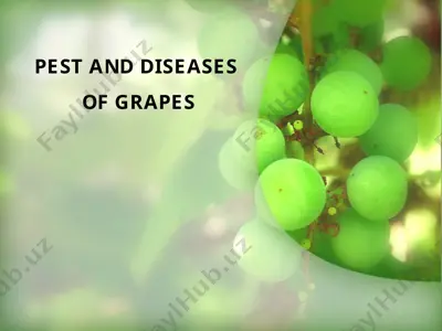 fungal diseases — PPT
