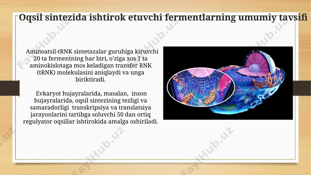 oqsil sintezida qatnashadigan fermentlarning tavsifi - Page 5