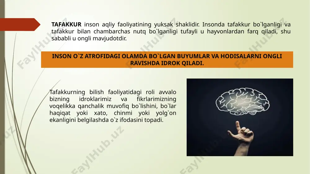 tafakkurni tadqiq qilishning asosiy yo‘nalishlari - Page 5