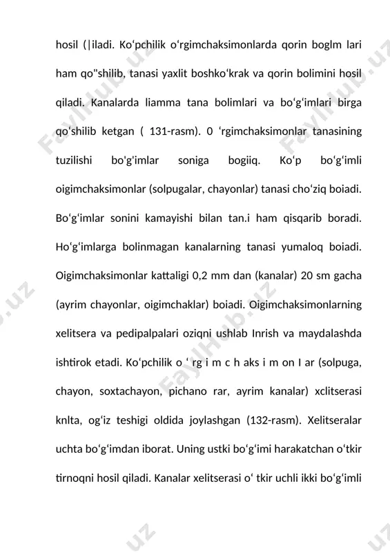 kumi. yirik hayvonlar, ii/unligi odatda 50-70 mm, ayrim vakillari 10-15 sm keladi. tanasi qo‘ng‘ir-sarg‘ish tusda bo‘ladi. solpugalar tanasining ko‘p sonli bo'gimlarga bo'lmganligi bilan boshqa o' rgimchaksimon lardan farq (|iladi. boshko‘kragi ikki q ism dan iborat. boshko‘krakning lortta bo‘g ‘imning qo‘shilishidan hosil botgan oldingi qismida xelitsera, |k:dipalpa va ikki juft qorin oyoqlari; ikkita erkin joylashgan bo‘g‘imdan iborat keyingi qismida ikki juft yurish oyoqlari bor. oldingi boshko‘krak (|ismini yirik bosh qalqoni yopib turadi. qalqon oldingi chetida bir juft ko zlari joylashgan. xelitseralari juda yirik, ularning asosiy bo‘g‘imi yo'g’on, qisqichlari kuchli rivojlangan o‘tkir xitin tishchalar bilan ln'minlangan. yirik pedipalpalari yurish oyoqlariga birmuncha o‘xshash, lekin timokdari boimaydi. pedipalpalar harakatlanish, tuyg‘u yoki oijani o rgimcliaksimorilar. a - phalangium opilio. v - qushho‘r o'rgimchak poecilotheria regalis. qiloyoq telyphonus. har xil 279 tutib turish uchun xizmat qiladi. qo‘shilayotganda erkagi pedipalpalari yordamida urgochisini ushlab turadi. solpugalaming 2 juft oldingi oyoqlari nisbatan kaltaryoq va ingichkaroq bo‘lib, tuyg‘u vazifasini bajaradi. …