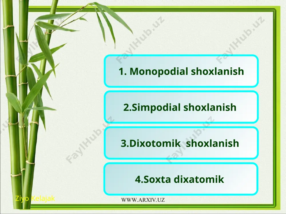 otosintez protsessida organik moddalar tayyorlanadi. po‘stloqning ichki qavatini endoderma deb ataladi. ba’zan endoderma o‘rnida kraxmalga boy bo‘lgan xujayralar uchraydi. poyaning markaziy silindr qismi tug‘diruvchi to‘qima peretsikldan boshlanadi. peretsikl poyada bir necha xujayralardan iborat. peretsikl ichkarida, ya’ni poyaning markaziy qismida o‘tkazuvchi to‘qima bog‘lamlari asosiy to‘qimalarda tartibsiz tarqoq xolda joylashgan. bir pallali o‘simliklarda o‘tkazuvchi to‘qima bog‘lami yopiq, ya’ni floema bilan ksilema o‘rtasida kambiy bo‘lmaydi. o‘tkazuvchi to‘qima bog‘lami kolloterial tipda tuzilgan. ya’ni floema ksilemaning bir tomoniga o‘rnashgan. poyaning markaziy qismidagi o‘tkazuvchi to‘qima bog‘lamlari yirik va katta, chet tomondagilari esa, maydaroq bo‘ladi. lekin o‘tkazuvchi to‘qima bog‘lamlari poyaning chetroq qismida ko‘proq bo‘ladi. sababi shuki o‘tkazuvchi to‘qima bog‘lamlari bargdan poyaga o‘tib turadi. bir pallali o‘simliklar poyasining markazida o‘zak bo‘lmaydi. (bug‘doy, poyasining ichi kovak bo‘ladi), (makkajo‘xori poyasining ichi esa g‘ovak bo‘ladi). ziyo kelajak www.arxiv.uz www.arxiv.uz o‘tli ikki pallali o‘simlik ham tashqi tomonidan epidermis bilan qoplangan. poya ko‘ndalang kesimida epidermis tagida birlamchi po‘stloq joylashgan. birlamchi po‘stloqda 2 xil …