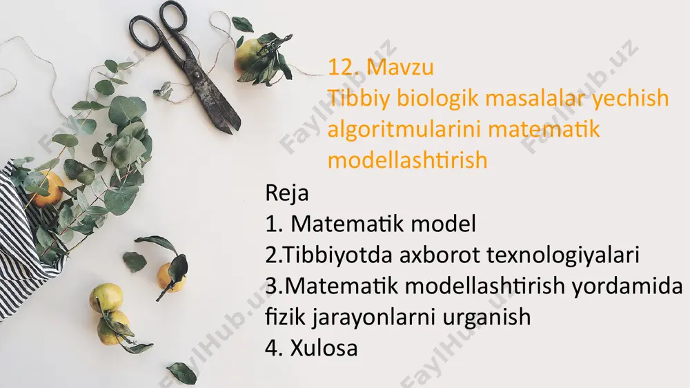 tibbiy biologik masalalar yechish algoritmalarini matematik modellashtirish - Page 2