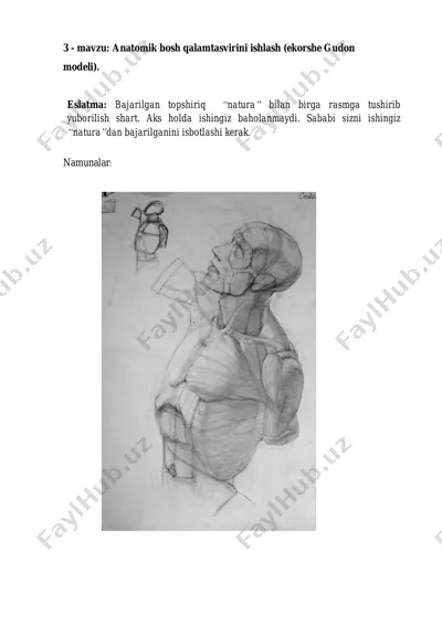 anatomik bosh qalamtasvirini ishlash (ekorshe gudon modeli). — PDF