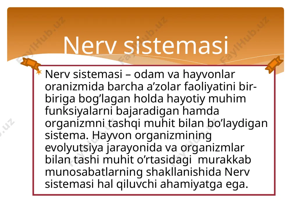 radi. miyadan a’zolarga boradigan nervlar a)somatik b)vegitativ nerv sistemasi tuzilmalari ta’sirotni sezadi, ta’sirot energiyasining nerv qo’zg’alishi energiyasiga aylantiradi, bu energiya nerv impulslari shaklida nerv tolalaridan o’tadi. nerv sistemasi murakkablashgan sayin va unda maxsus retseptor (sezuvchi) hujayralar iztisoslashgan sayin nerv sistemasi funksiyalari tobora turli-tuman bo’lib qolgan. nerv sistemasi refleks yo’li bilan ishlaydi. organizmda tashqi va ichki muhit ta’sirotlarini sezadigan retseptorlar bor. normal sharoitda organizmga tashqi muhit tirli-tuman va doimiy ta’sir ko’rsatishi tufayli retseptorlarda impulslar vujudga keladi, bular afferent nerv tolalari orqali markaziy nerv sistemasiga o’tadi; o’zgartirilgan impulslar esa markaziy nerv sistemasidan efferent nerv tolalari orqali ishchi a’zolar (muskullar, bezlar va h.k)ga kelib, ularni ishga soladi yoki ishlash tezligini o’zgartiradi. nerv sistemasining faoliyati qo’zg’alish va tormozlanish jarayonlariga asoslangan. etiboringiz uchun rahmat. image2.png image3.jpeg image4.jpeg image5.jpeg image6.jpeg image7.jpeg image8.jpeg image9.png image10.jpeg image11.jpeg image12.png image13.jpeg /docprops/thumbnail.jpeg