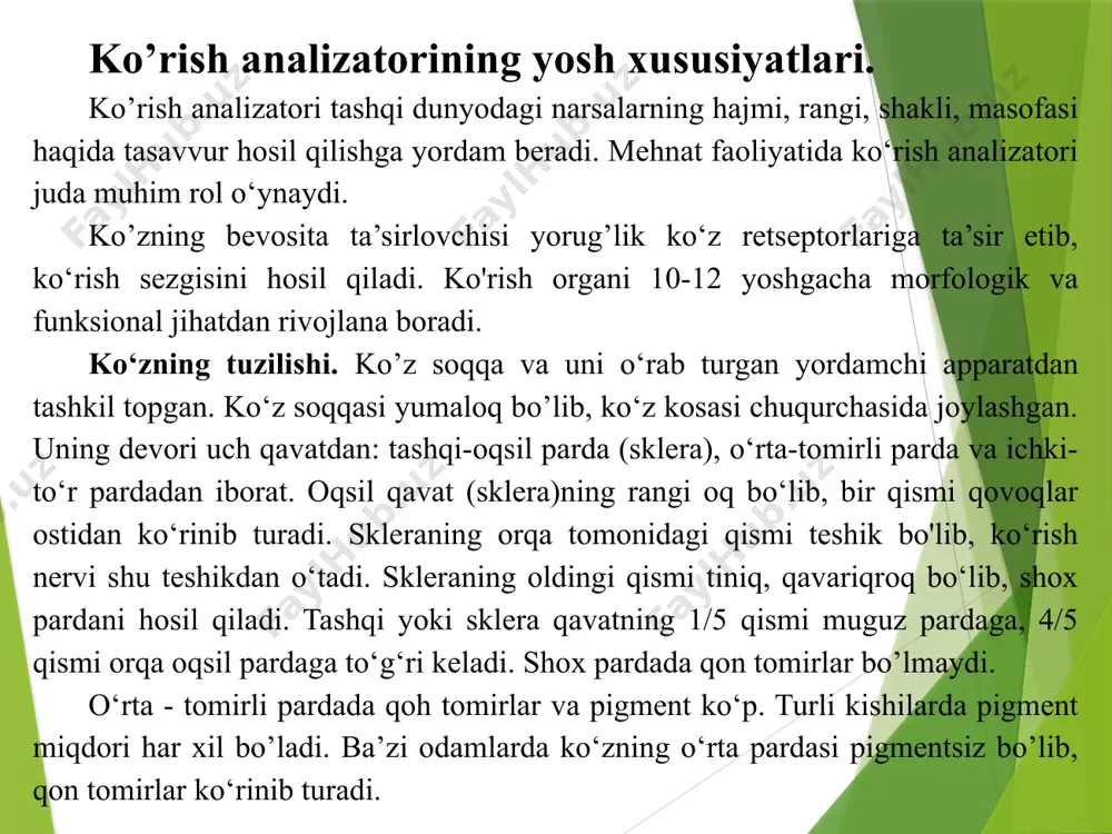 smida silliq muskul tolalardan iborat kipriksimon muskullar bo’ladi. kipriksimon muskullar kipriksimon boylamlar yordamida gavhaming pay va xaltachasiga birikadi. ko‘z soqqasining ichki pardasi, ya’ni to‘r parda murakkab tuzilgan bo’lib, rivojlanishiga ko‘ra ko‘rish nervi bilan bir butun hisoblanadi. to‘r parda ko‘zning butun bo'shlig’ini qoplab turadi. turli ta’sirni qabul qiluvchi 130 mln. ta tayoqcha va 7 millionta kolbacha shaklidagi hujayralar to‘r pardaning retseptoriari hisoblanadi. ko’z soqqasining yadrosi suyuq, gavhar va shishasimon tanadan iborat. rangdor pardaning orqasida yasmiq shaklidagi, juda tiniq, ikki tomoni qavariq linza - gavhar joylashgan. gavharning orqa tomoni oldingi tomonga qaraganda qavariqroq bo’ladi. gavhar yarim suyuq bo’lib, yupqa tiniq kapsula ichida joylashgan. gavharda qon tomirlari bo’lmaydi. uni ko‘z kameralarini to’ldirib turadigan maxsus suyuqlik oziqlantiradi. shox parda bilan rangdor pardaning o'rtasida kichkina bo‘shliq bo’lib, u ko‘zning oldingi kamerasi deyiladi. rangdor parda bilan gavhar o‘rtasida ham bo‘shliq bo’lib, u ko‘zning orqadagi kamerasi deyiladi. har bir ko’rish nervida 1 mln. ga yaqin nerv tolalari …