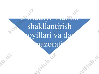 maksimal va minimal narxlar — PPTX