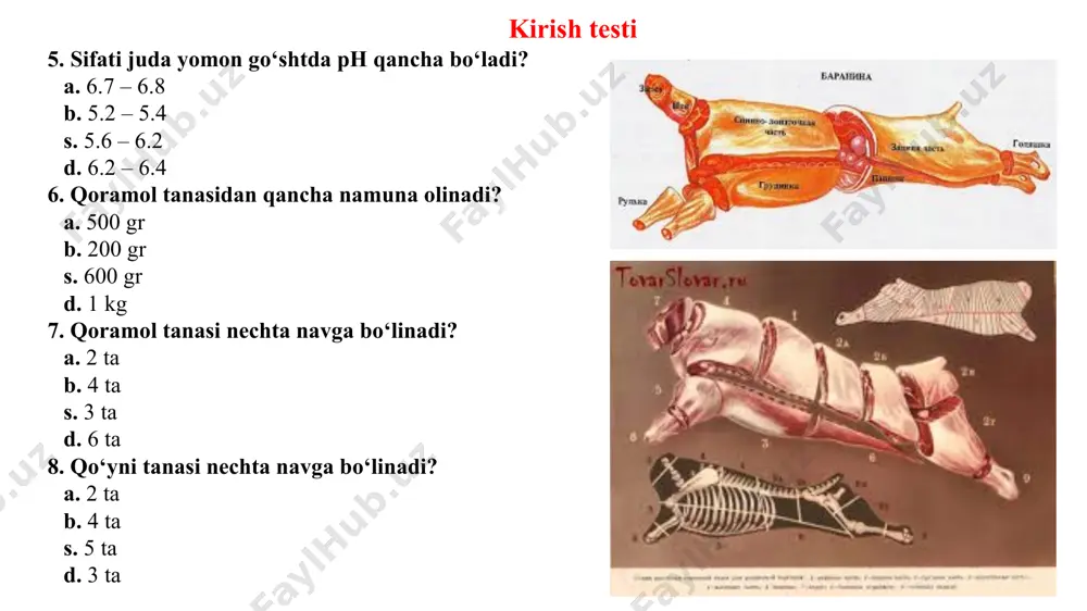 a fermenti faol holatda (ferment ko‘p bo‘ladi), kasal yoki o‘lim oldi holatda so‘yilgan hayvonlardan olingan go‘sht namunasida esa perioksidaza fermentining faoligi (ferment kam) past bo‘ladi. ishni bajarish tartibi olib kelingan go‘sht namunalaridan 1:4 nisbatda, go‘sht ekstrakti tayyorlanadi. filtrlangan ekstraktdan 2 ml olinib, ustiga 5 tomchi 0,2% li benzidinni spirtli eritmasi solinadi va yaxshilab aralashtiriladi. keyin aralashmaga 2 tomchi 1% li vodorod perioksidi eritmasi solinadi. sog‘lom hayvon go‘shtidan tayyorlangan ekstrakda, reaksiya natijasida ko‘k yashil rang hosil bo‘lib, bir necha minutdan o‘tgandan so‘ng qoramtir malla ranga kiradi va o‘zgaradi (reaksiya musbat). agar ekstrakt kasal, o‘lim oldi talvasasi holatida so‘yilgan hayvon go‘shtidan yoki eski go‘shtdan tayyorlangan bo‘lsa, reaksiya natijasida probirkadagi aralashmani rangi ko‘k yashil tusga kirmasdan, birdaniga qoramtir malla rang hosil qiladi (reaksiya manfiy). bakterioskopiya tekshirish go‘sht namunasidan buyum shishachasida ikki dona surtma tayyorlanadi: biri go‘shtning yuza qismidan, ikkinchisi go‘shtning chuqur qismidan olinadi. buni tayyorlash uchun kichik go‘sht bo‘lagi kesib olinib, kesilgan tomoni …