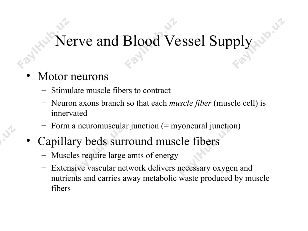 smooth muscle physiology - Page 4
