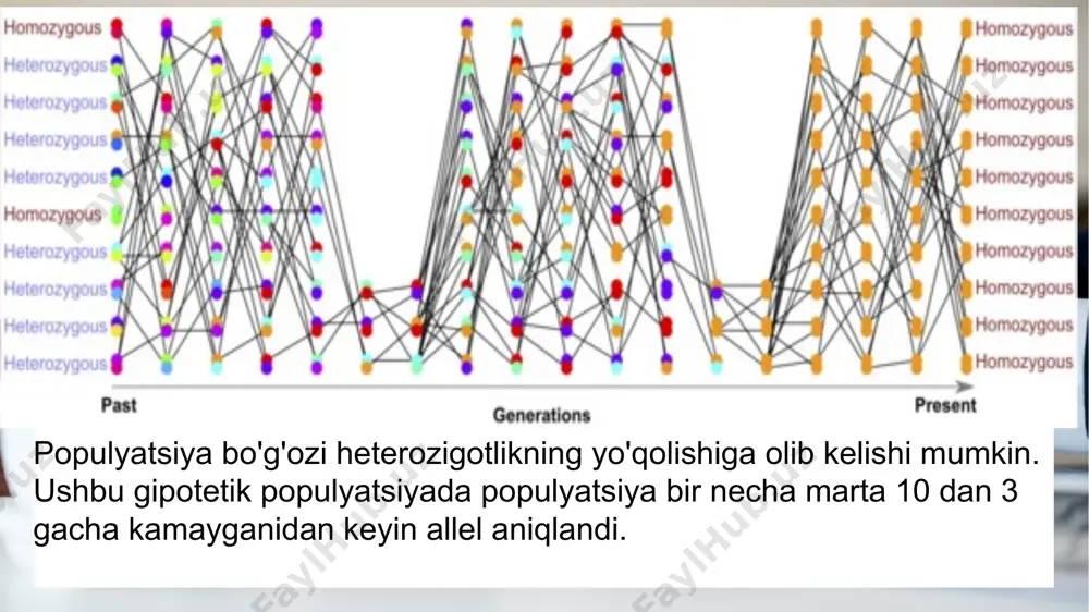 ynberg qonuni tabiiy sharoitda amal qilishi juda qiyin, chunki populyatsiyalarga genetik muvozanatni buzuvchi tashki va ichki omillar doimo taʼsir etib turadi. shu sababli x. — xardivaynberg qonunini keyingi populyatsiongenetik modellar yaratishning boshlangich shakli sifatida qarash maqsadga muvofiq boʻladi. allel bu genning bir varianti boʻlib, organizmning muayyan belgi-xususiyatini boshqaruvchi irsiy birlik hisoblanadi. masalan, mendel noʻxat oʻsimligi gullarining rangini boshqaruvchi genni oʻrganadi. bu gen oq allel s va siyohrang allel s boʻlib keladi. har bitta noʻxat oʻsimligida ikki nusxada genlar boʻladi va bu genlar bir xil allel boʻlishi yoki boʻlmasligi mumkin. allellar farqli boʻlganda dominant allel s retsessiv allel s ning taʼsirini boʻgʻishi mumkin. oʻsimlikning allellar toʻplami uning genotipi boʻlib, fenotipini, yaʼni koʻrinadigan belgi-xususiyatlari, masalan, bu yerda gul rangini belgilab beradi allel uchrash tezligi populyatsiyada muayyan bir allelning qanchalik tez uchrashini anglatadi. misol uchun, noʻxat oʻsimligi populyatsiyasidagi barcha allellar siyohrang allellar s boʻlsa, s allelining uchrash tezligi 100% yoki 1,0 ga teng …