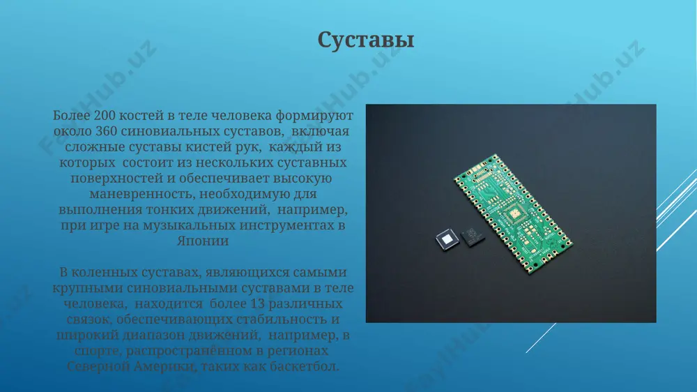 опорно-двигательная система - Page 4