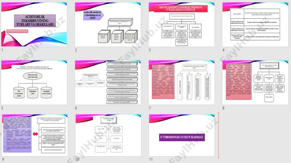 auditorlik tekshiruvining turlari va shakllari - Page 2