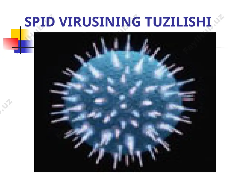 spid virusining tuzilishi - Page 3