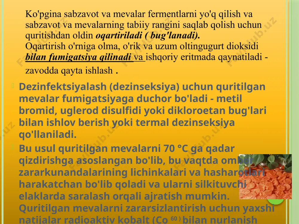 qayta ishlangan mevalar - Page 4