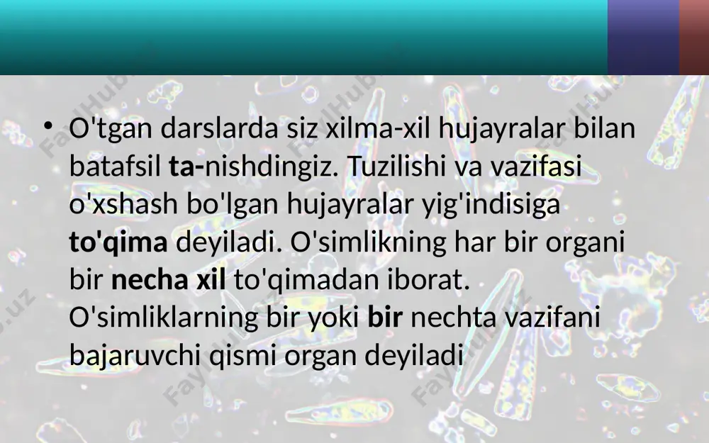 a yunoncha xloros – yashil, enxima – to‘ldirilgan degan ma’noni bildiradi. ular yashil barg, yashil novdalarda epiderma hujayralari ostida joylashgan. asosiy to‘qima. bu to‘qimaning eng muhim vazifasi fotosintez jarayonini, ya’ni o‘simliklarda moddalar almashinuvini amalga oshirishdan iborat. uning tarkibiga assimilyatsiyalovchi, suv saqlovchi va g‘amlovchi to‘qimalar kiradi. mazkur to‘qima yadro va bir qavat xlorofill donachalaridan iborat. shuning uchun ham bu to‘qimalar xlorofilli parenxima yoki xlorenximalar deb ham yuritiladi. g‘amlovchi to‘qima. bu to‘qimada fotosintez jarayonida hosil bo‘lgan oziq moddalar, kraxmal, oqsil, karbon suvlar, vitaminlar, yog‘lar to‘planadi va uzoq muddat saqlanadi. ular o‘simlikning deyarli barcha organlarida bo‘ladi. jumladan, urug‘larda to‘planib, murtak rivojlanishi uchun sarfl anadi. cho‘ldagi ba’zi o‘simliklarda, masalan, sarsazan, buzoq- bosh, qizil sho‘ra, baliqko‘z va boshqalarda shiraga boy hujayralar bo‘lib, ularda asosan suv saqlanadi. suv saqlovchi hujayralar o‘simliklarning barg va novdalarida bo‘ladi. zarurat bo‘lganda o‘simlik shu suvdan foydalanadi. qoplovchi to‘qimaning chiqib kelishi o‘simliklarni suvli muhitdan quruqlikka moslashishidan boshlangan. qop lovchi to‘qima organlarni qurib …