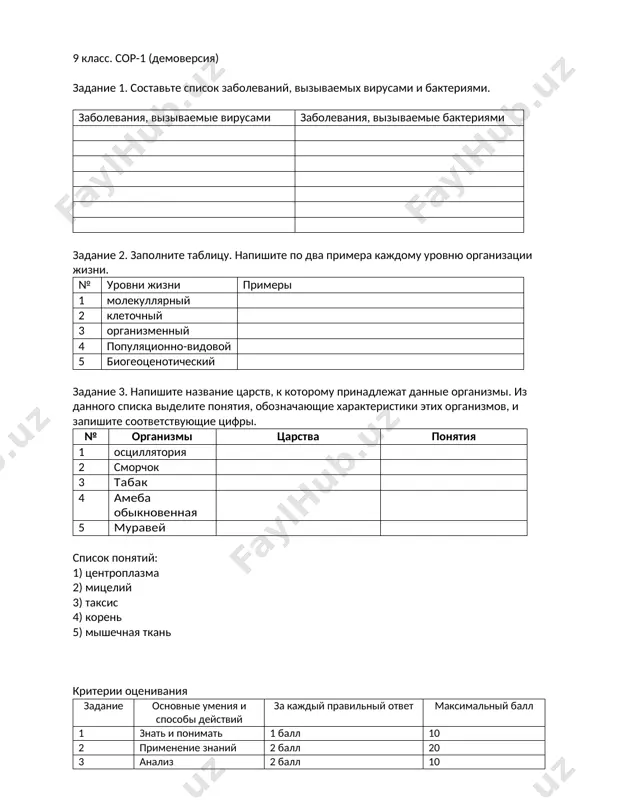 9-sinf. bsb-1 (demo) - Page 2