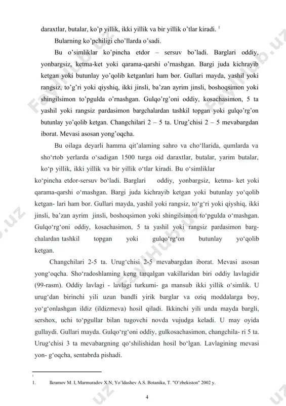 an. bargi juda kichrayib ketgan yoki butunlay yo‘qolib ketgan- lari ham bor. gullari mayda, yashil yoki rangsiz, to‘g‘ri yoki qiyshiq, ikki jinsli, ba’zan ayrim jinsli, boshoqsimon yoki shingilsimon to‘pgulda o‘mashgan. gulqo‘rg‘oni oddiy, kosachasimon, 5 ta yashil yoki rangsiz pardasimon barg- chalardan tashkil topgan yoki gulqo‘rg‘on butunlay yo‘qolib ketgan. changchilari 2-5 ta. urug‘chisi 2-5 mevabargdan iborat. mevasi asosan yong‘oqcha. sho‘radoshlaming keng tarqalgan vakillaridan biri oddiy lavlagidir (99-rasm). oddiy lavlagi - lavlagi turkumi- ga mansub ikki yillik o‘simlik. u urug‘dan birinchi yili uzun bandli yirik barglar va oziq moddalarga boy, yo‘g‘onlashgan ildiz (ildizmeva) hosil qiladi. ikkinchi yili unda mayda bargli, sershox, uchi to‘pgullar bilan tugovchi novda vujudga keladi. u may oyida gullaydi. gullari mayda. gulqo‘rg‘oni oddiy, gulkosachasimon, changchila- ri 5 ta. urug‘chisi 3 ta mevabargning qo‘shilishidan hosil bo‘lgan. lavlagining mevasi yon- g‘oqcha, sentabrda pishadi. sho‘radoshlarga mansub ismaloq turkumining 0‘zbekistonda 2 turi o‘sadi. ulardan bin rezavor ismaloq bo‘lib, u ziravor o‘simliklar qatorida ekiladi. …