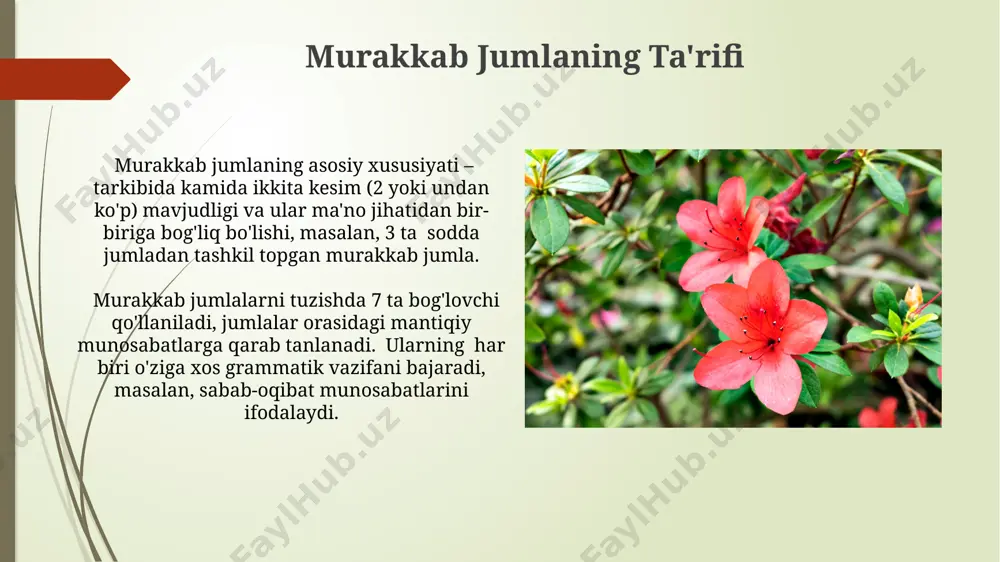 qo'shma gap turlari - Page 5