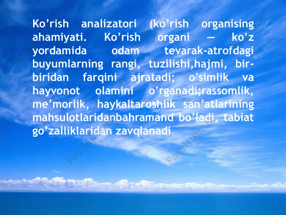 sezgi organlari - Page 3