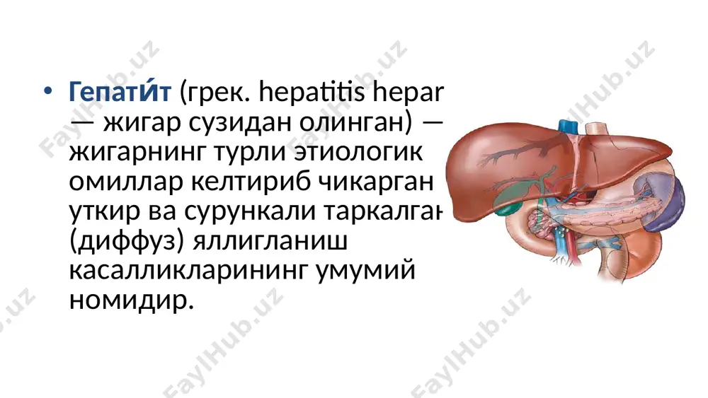 химоя тусигидан утиб олишини таъминлайди. сувли мухитда хам баркарор сакланади, шунинг учун а гепатитининг эпидемиялари аксарият сув йули оркали содир булади. юксак иммуногенлик хусусияти хос, касалланишдан кейин умрбод сакланувчи баркарор иммунитет шаклланади. оксилли капсула (капсид)га эга, диаметри 27 нм, капсид ичида бир занжирли рнк молекуласи мавжуд. ташки мухитдаги нокулай омиллар таъсиротларига чидамли. лиофилизация килинган намуналар 25°с хароратда камида 30 кун саклана олиши мумкин. 10-12 соат мобайнида 60°с гача киздириш вирусни кисман инактивация кила олади. кайнатиш а гепатит вирусини тулик халок килади. ёгларда эримайди, эритувчилар таъсирига чидамли, бошка энтеровируслар каби кислотали мухитда узок муддат сакланиб кола олади. хлор тутувчи препаратлар таъсирига чидамли.м-н:эркин хлор концентрацияси 0,5-1,5 мг/л булган водопровод сувига тушган агв 1 соат (60') мобайнида тулик инактивация булмайди. дезинфекцияловчи воситаларга чидамлилиги сабабли баъзи ҳолларда сув тозалаш иншоотларидаги тусиқлардан ўтиб вируснинг водопровод тармоқларига тушиши ва касалликка сабаб булиши кузатилади. культивация килиш - усдириш макаки резус эмбриони буйрак хужайралари культураси ва яшил мартишкалар …