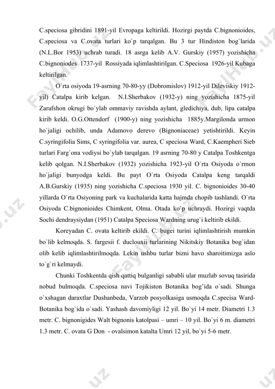 ashash davomiyligi 12 yil. bo`yi 14 metr. diametri 1.3 metr. c. bignonigides walt bignonis katolpasi – umri – 10 yil. bo`yi 6 m. diametri 1.3 metr. c. ovata g don - ovalsimon katalta umri 12 yil, bo`yi 5-6 metr. o`zbekistonda lola daraxti urug`ining sifati haqida. shtonda n.i. 247-252 bet. xix asrning oxirida o`rta osiyoning samarqand, toshkent marg`ilon, shaharlarida yirik gulli dekorativ daraxtlar olib kelindi. bu chiroyli gullovchi o`simlik tog` lolasi – ya’ni tyulpan deb ataldi. magnoliaceae oilasiga mansub – liriodendron tulipifera deb ataladi. 1948-yili z.p.bochansova invintarizatsie bilan shug`ullandi. toshkent shahrida ushbu daraxtning 2 gruppadagi 5 ta daraxtni aniqladi. xx asrning oxirida toshkent botanika bog`i ushbu daraxtning 20 tasi yetishtirildi. ular 51-56 yoshni tashkil etishgan. ularning bo`yi 30 metrni diametri 33-35 santimetrni tashkil qiladi. bundan tashqari mustaqillik maydonida, o`zbekiston tarix muzeyi yonida o`simliklarni ximiyaviy o`stirish instituti yonida ham o`stirildi va kuzatildi. 1948-yili z.p. bochansovaning yozishicha toshkent bo`ylab to`plangan 2 pud urug`dan …