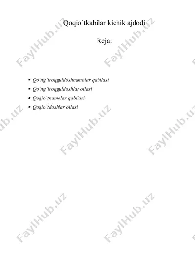 qoqio`tkabilar kichik ajdodi — DOCX
