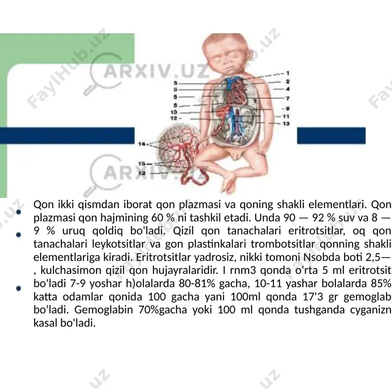 qonning tarkibi va xususiyatlari - Page 4