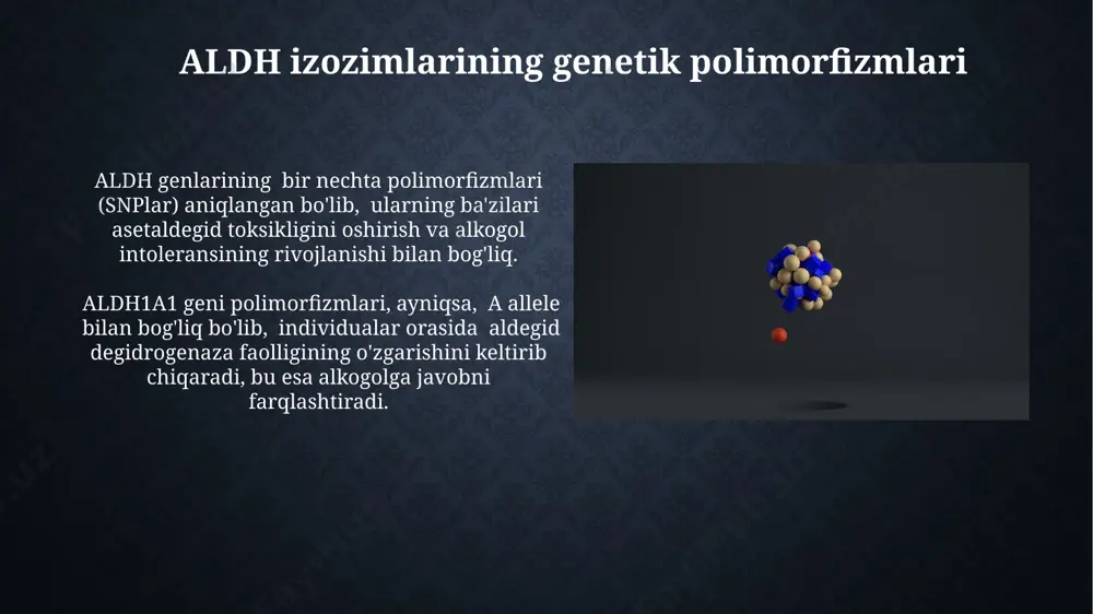 chak traktida keng tarqalgan bo'lib, past konsentratsiyalarda mavjud. aldh3 izozimlari asosan teri va ko'z retinasida topiladi va ularning etanol metabolizmidagi roli nisbatan kam. aldh etishmovchiligi va uning oqibatlari aldh fermentining past faolligi asetaldegidning to'planishiga olib keladi, bu esa qusish, yuzning qizarishi, taxikardiya va boshqa noxush simptomlarni keltirib chiqaradi, bu esa alkogol iste'molini cheklashga majbur qiladi. aldh fermentining genetik polimorfizmlari, xususan aldh22 allelining tarqalishi, osiyo populyatsiyalarida asetaldegid to'planishi va alkogolga nisbatan yuqori sezuvchanlikka olib keladi, bu esa 40% ga yaqin odamlarda kuzatiladi. aldh1 izozimlari aldh1b1 izozimi asosan ko'zning linzasida mavjud bo'lib, uning faolligi aldh1a1 ga nisbatan pastroq va aldegidlarni detoksifikatsiyasi jarayonida muhim rol o'ynaydi. aldh1l1 izozimi mitoxondriyalarda joylashgan va turli xil aldegidlarni, shu jumladan atsetaldegidni metabolizm qilishda ishtirok etadi, uning gen ekspressiyasi turli to'qimalarda farq qiladi. e'tiboringiz uchun rahmat @taqdimot_robot image2.jpg image3.jpg image4.jpg image5.jpg image6.jpg image7.jpg image8.jpg image9.jpg image10.jpg image11.jpg image12.jpg image13.jpg