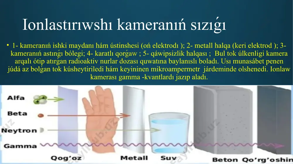 — ásbap jumısın támiyinleydi. bul maqset ushın qurı elementler yamasa akkumulyatorlarda i paydalanıladı.atız rentgenmetrleri dp- 5a hám doza quwatın ólshewshi dp-5 b, dp-5 v hár qıylı, predmetlerdiń gamma -nurlanıw boyınsha radioaktiv zıyanlanıw hám gamma -radiatsiya dárejesin ólshew ushın mólsherlengen. gamma -nurlanıwdıń tásir (ekspozitsiya) dozası rentgen-saatlarda (r/s) yamasa millirentgen saatta ásbap ólshewshii jaylastırılǵan hawadaǵı quwatın ólsheydi. bunnan tısqarı keltirilgen ásbaplar járdeminde betti-nurlanıwlardı anıqlaw múmkin. ólshewshi pul't paneli: ásbap zondı tesigine suwǵa shıdamlı etiltsellyuloza plenkası jabıstırılǵan hám sol plyonka arqalı betta-bóleksheler ótkende beta-nurlanıwların anıqlaytuǵın korpustan quralǵan. korpusqa kesip alınǵan búrkewshi metall ekran ornatılǵan. ekran «b» jaǵdayǵa búrılǵanda korpus tesigi ashıladı hám betta-bóleksheler ólshewshine ótedi. «g» jaǵdayda korpus tesigi ekran menen jabıladı hám ólshewshine tek gamma -nurlar kiriwi múmkin. «b» hám «g» jaǵdaylarda ekran fiksatorlar menen bekkemlenedi. zond korpusı ishinde plata bolıp, oǵan gazorazryad ólshewshileri (sts-5 hám sizbg), kúsheytirgishi - normallastırıwshı hám elektr sxeması ornatılǵan. ólshewshiler gamma - kvantlar hám betta-bóleksheler tásirinde elektr …