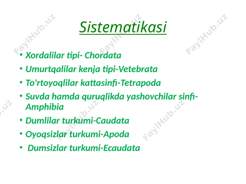 i. hidlash organi hayotida muhim roʻl oʻynaydi. hidlashhaltachalarijuft boʻladi.tashqi burun teshiklari maxsus muskullar yordamida ochilib yopiladi.har bir hidlash xaltachasi ichki burun teshigi-xoanalar orqali ogʻiz boʻshligʻi bilan tutashib turadi. hazm qilish organlari amfibiyalar turli umurtqasiz hayvonlar, yosh baliqlar,hattoitbaliqlar,suvda yashovchi qushlarning joʻjalari bilan oziqlanadi.oziq avval serbar ogʻiz boʻshligʻiga tushadi va undan qiziloʻngachgacha oʻtadi.tishlari mayda konus shaklida boʻlib,jagʻ oraliq,ustki jagʻ,tish,dimogʻ va ba'zilarida tanglay suyaklari joylashgan.qurbaqada tish boʻlmaydi.ogʻiz -halqum boʻshligʻining tepa qismida soʻlak bezlari bor.soʻlak tarkibida oziqni parchalovchi ferment yoʻq bu bez oziqni hoʻllash va yutish uchun hizmat qiladi.uncha uzun boʻlmagan qiziloʻngach(oesophagus) oshqozonga (gaster) ochiladi. oshqozondan oʻn ikki barmoqli ichak(dudodenum)chiqadi va noma'lum holda ingichka ichakka (illeum) ochiladi,biu oʻz navbatida,serbar toʻgʻri ichakka (rectum) oʻtadi. toʻgʻri ichak klokaga ochiladi. uch pallali jigarning (hepar) oʻrta pallasida oʻt pufagi bor. oʻt yoʻli oʻn ikki barmoqli ichakka ochiladi.oziqning hazm boʻlishi uchun 8-12 soat vaqt talab qiladi.past temperaturada bular bir yilgacha och yashay oladi. nafas olish organlari suvda va quruqlikda …