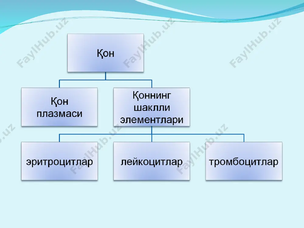 qon va qon aylanish tizimining yosh xususiyatlari va gigienasi - Page 5