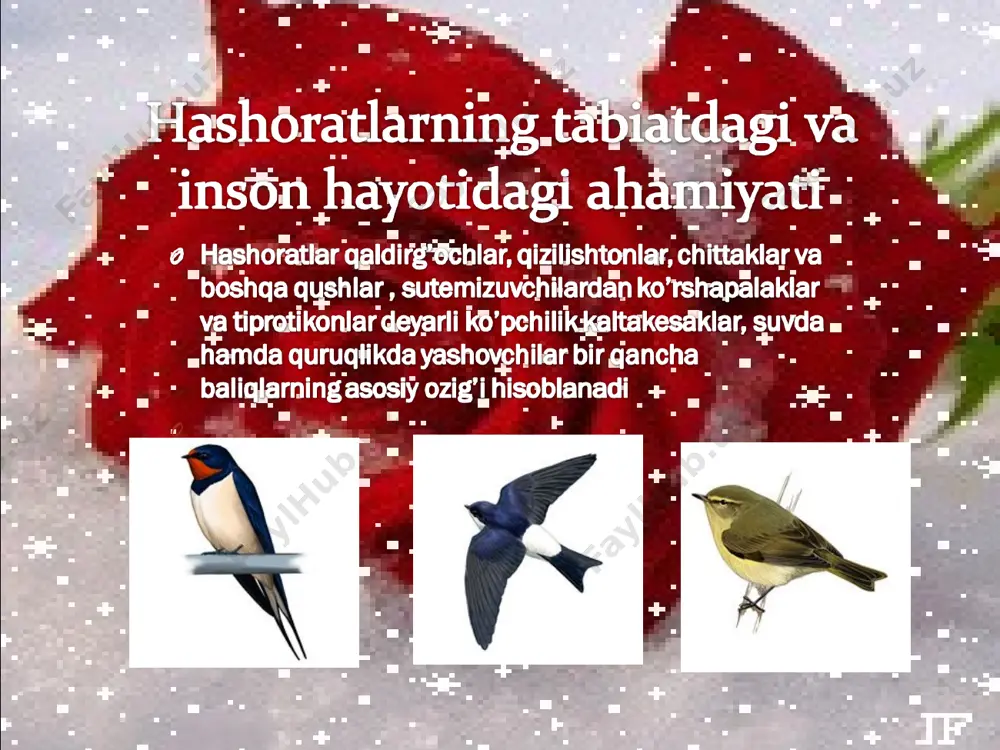 zararkunanda hashoratlar - Page 3
