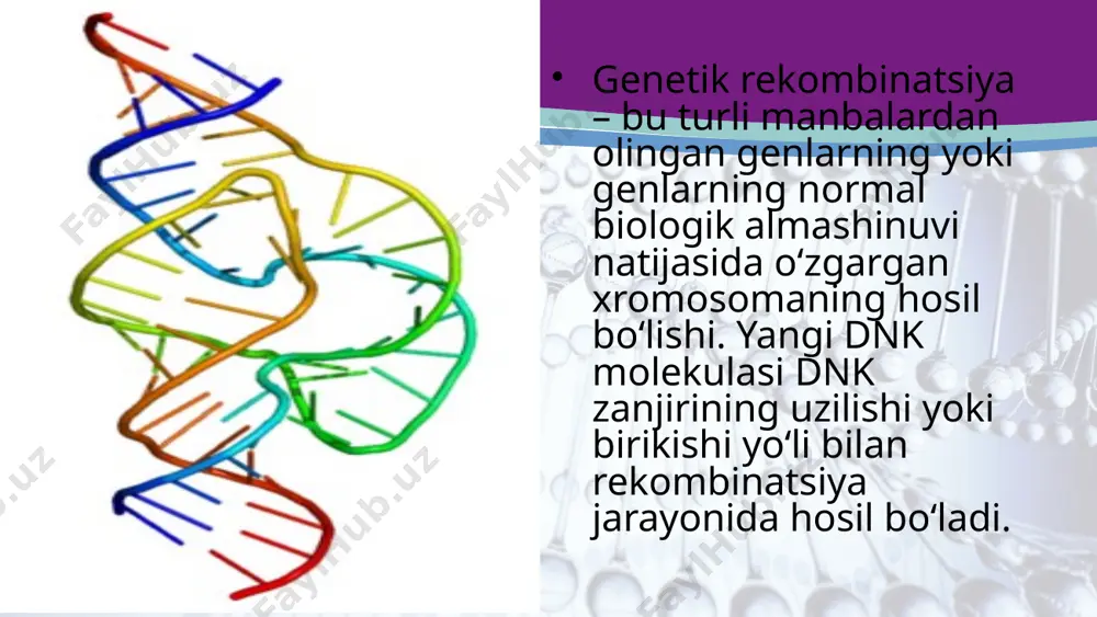 shlov berganlar. halqasimon plazmid tarkibida faqat bir dona ecori restriktaza fermenti tanlab kesadigan maxsus nukleotidlar izchilligi bo‘lganligi sababli restriktaza dnk qo‘sh zanjirini faqat bir joydan kesib halqasimon plazmidni yopishqoq uchli ochiq holatga o‘tkazadi. xromosoma dnk molekulasida ecorl restriktaza fermenti taniy oladigan maxsus nukleotidlar izchilligi qancha bo‘lsa, bu molekula shuncha bo‘lakka bo‘linadi. dnk bo‘laklarini elektroforez moslamasida kuchli elektr maydonida katta-kichikligiga qarab ajratiladi va hosil bo‘lgan bo‘laklar maxsus bo‘yoq bilan bo‘yaladi. elektroforez gelidan kerakli dnk bo‘lagini suvda eritib ajratib olish mumkin. boyer va koen shu usullar bilan ajratib olingan yopishqoq uchli xromosoma dnk bo‘lagini ochiq holatdagi yopishqoq uchli plazmid dnksi bilan probirkada aralashtirib ligaza (ulovchi) fermenti vositasida bu ikki xil dnk bo‘laklari uchlarini bir-biriga kovalent bog‘lar yordamida uladilar. natijada plazmid tarkibiga xromosoma dnk bo‘lagi kiritildi. shu usulda ilk bor rekombinant plazmid hosil qilindi. bu molekular qurilmada (konstruksiyada) plazmid dnk vektor (yo‘naltiruvchi) funksiyasini bajaradi, chunki yuqorida aytib o‘tganimizdek plazmidlar dnksiga rekombinatsiyalana oladi. bu …