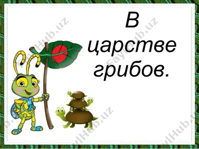 в царстве грибов — PPT