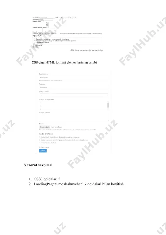 laboratoriya ishi - css3 qoidalari - Page 5
