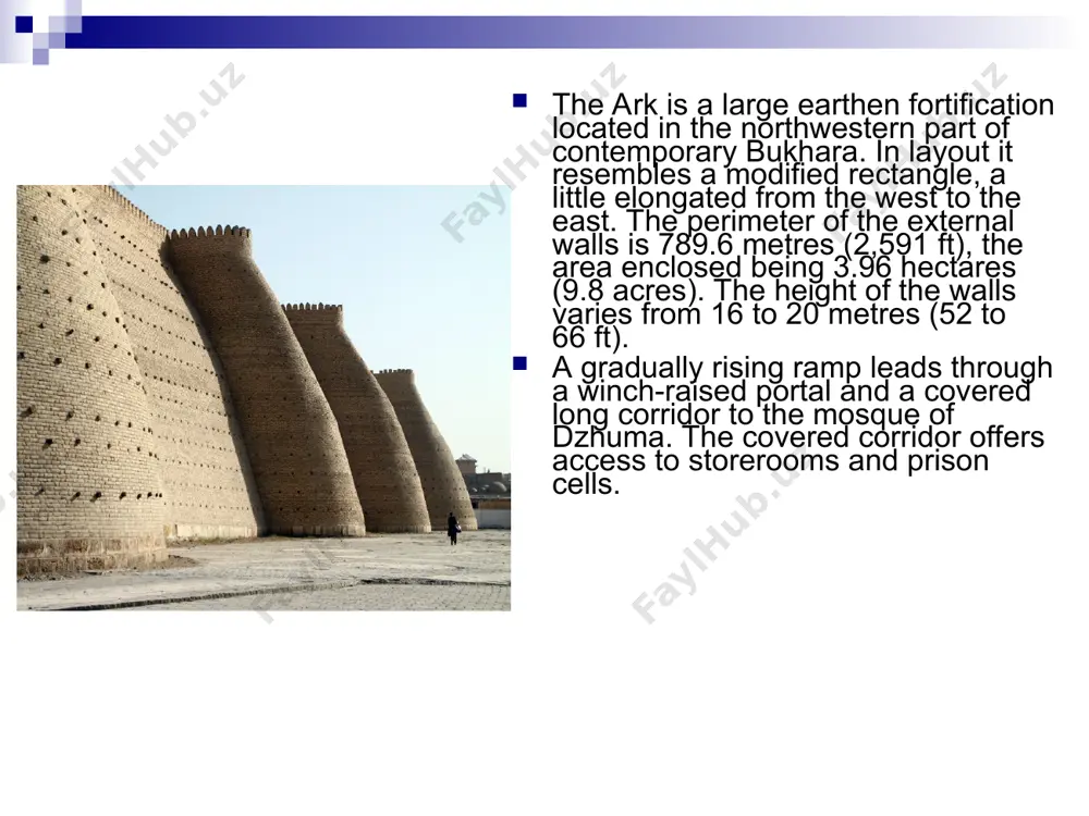 ark - Page 3
