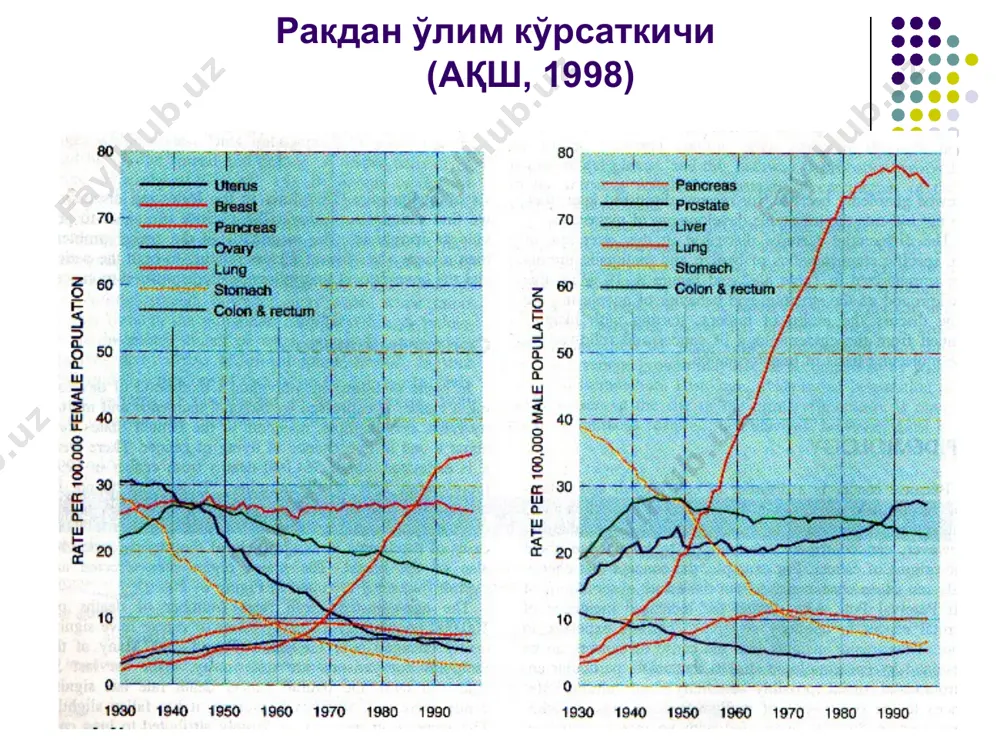 perexod kletki iz fazi go ili gi v mitoz r53 kantserogenezda o'rni ma'lumki, r53, rb kabi, dnk replikatsiyasini, xujyara proliferatsiyasini va o'limini nazorat qiluvchi yadroviy fosfoproteid xisoblanadi. aynan bular, genetik shikastlangan xuyjayralarning tarqalishiga to'sqinlik qiladi degan taxmin bor. normada bu genning biologik yashash yarimdavri xujayra tsiklida daqiqalar davomida kechadi, ammo uning xujayra bo'linishida qatnashganligi to'g'risida isbotlar yuq. lekin xujayra mutagen ta'sirga uchragandagina uzining posttranslyatsion modifikatsiyasi orqali stabilizatsiyalanadi va yadroda to'planadi. apoptozni boshqaruvchi genlar bsl-2 genida funktsiyasi bilan birgalikda joylashuvi xam o'zgacha: mitoxondriylarning ichki membranasida, yadro qobig'ida, endoplazmatik to'rning tsisternalarida. ko'p xolatlarda apoptoz kislorodning reaktiv shakli bilan chaqirilgan letal shikastlanish natijasida rivojlanadi, bsl-2 esa antioksidant tizimni boshqarish orqali apoptozni tuxtatadi. ko'p bosqichli kantserogenezni molekulyar asoslari xavfli o'smalar bosqichma-bosqich rivojlanadi: ximiyaviy kantserogenez bir necha bosqichda kechadi – initsiatsiya xujayralar genomining o'smalarga transformatsiyalanishini boshlanishi, promotsiya – o'sma fenotipini amalga oshishi va o'smalar o'sish jarayonini progressiyalanishi. onkogenlar va supressor genlar to'g'risidagi ta'limotni paydo bo'lishi, …