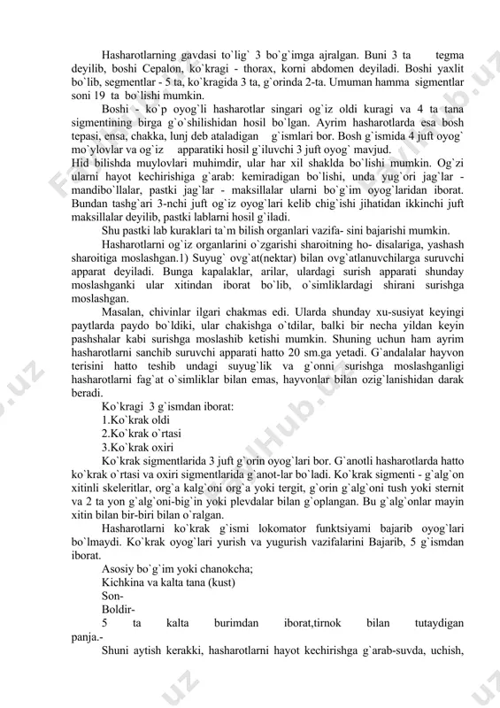 gi hasharotlarni fag`at o`simliklar bilan emas, hayvonlar bilan ozig`lanishidan darak beradi. ko`kragi 3 g`ismdan iborat: 1.ko`krak oldi 2.ko`krak o`rtasi 3.ko`krak oxiri ko`krak sigmentlarida 3 juft g`orin oyog`lari bor. g`anotli hasharotlarda hatto ko`krak o`rtasi va oxiri sigmentlarida g`anot-lar bo`ladi. ko`krak sigmenti - g`alg`on xitinli skeleritlar, org`a kalg`oni org`a yoki tergit, g`orin g`alg`oni tush yoki sternit va 2 ta yon g`alg`oni-big`in yoki plevdalar bilan g`oplangan. bu g`alg`onlar mayin xitin bilan bir-biri bilan o`ralgan. hasharotlarni ko`krak g`ismi lokomator funktsiyami bajarib oyog`lari bo`lmaydi. ko`krak oyog`lari yurish va yugurish vazifalarini bajarib, 5 g`ismdan iborat. asosiy bo`g`im yoki chanokcha; kichkina va kalta tana (kust) son- boldir- 5 ta kalta burimdan iborat,tirnok bilan tutaydigan panja.- shuni aytish kerakki, hasharotlarni hayot kechirishga g`arab-suvda, uchish, yerda yurishiga g`arab oyog`lari turli tuzilishda ish bajaradi. ko`pchilik hasharotlarda juft g`anot bo`ladi. 1-chi jufti ko`krak o`rtasidan, 2-chi jufti ko`krak oxiridan chig`adi. g`anotni mar​kam g`iladigan skelet naychalardan iborat bo`lib ular ichida traxeyalar va nervlar …