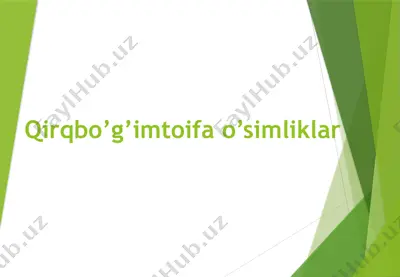 qirqbo’g’imtoifa o’simliklar — PPTX