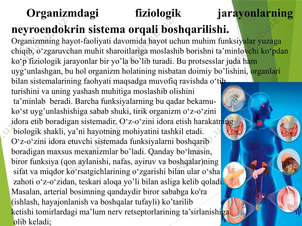 faoliyati uchun ichki muhitning asosiy ko'rsatkichlari doimo ma’lum bir darajada o‘zgarmasdan turishi zarur. bu jarayonga gomeostaz deyiladi. o‘z-o‘zini idora etadigan har qanday sistemada organizm uchun foydali bo‘lgan moslovchi sistema markaziy o‘rinda turadi. p.k. anoxin tomonidan tasvirlangan funksional sistema o‘z-o‘zini boshqarish apparatidir. organizmda funksiyalar ikkita asosiy mexanizmlar: gumoral va nerv mexanizmlari bilan idora etiladi (regulyatsiya qilinadi). idora etishning gumoral (humor-suyuqlik) mexanizmi filogenetik jihatdan ancha qadimgi hisoblanadi va yuqori darajali mavjudotlarda ham katta ahamiyatga ega bo‘lsada, lekin unchalik mukammal emas. gumoral regulyatsiya organizm suyuqliklari qon, limfa va to ‘qima suyuqliklarida aylanib yuradigan kimyoviy moddalar ishtirokida yuzaga chiqadi. organizmga ovqat bilan birga kiradigan ba’zi birikmalar (vitaminlar va boshqalar), moddalar almashinuvi protsessida hujayralarda hosil bo‘ladigan kimyoviy mahsulotlar (masalan, nafas markaziga qo'zgatuvchi ta’sir ko‘rsatadigan korbonat angidrid), to‘qimalarda bo‘ladigan fiziologik faol moddalar va o‘ziga xos, ya’ni spetsifik moddalar ichki sekretsiya gormonlari ham kimyoviy regulyatorlar bo‘hshi mumkin. mana shu kimyoviy moddalar to‘qima suyuqligiga, keyin qonga o‘tadi va …