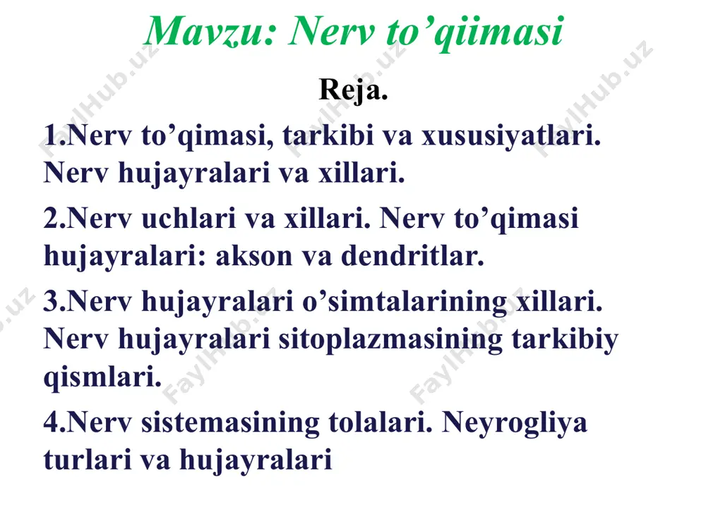 kson va dеndritlar. aksonning uzunligi bir necha mikrondan 1-1,5 metrgacha bo’lishi mumkin. uning yo’g’on-ingichkaligi butun uzunligi bo’ylab bir xil. ayrim vaqtlarda u yon tomonlarga o’simtalar chiqaradi, ularga yon kollateral o’simtalar deyiladi. neyronning qolgan qsimtalari kalta bo’lib, ular dendritlar deyiladi. dendritlar, odatda, hujayra tanasidan yo’g’on bo’lib chiqib, uchiga tomon ingichkalashib boradi. ular ikkinchi nerv hujayrasi o’simtalari bilan tutashib, sinapslar hosil qiladi. nerv hujayrasi. 1-akson, 2- neyron, 3-dendrit. окраска нейронов по гольджи sinaps ikkita neyron o’simtalarining bir-biri bilan tutashgan qismidir. ular impulsni bir neyrondan ikkinchi neyronga o’tkazish funksiyasini bajaradi. типы организации нейронов ретикулярная организация ядерная организация корковая (экранная) организация различные формы ядер б – веретеновидный нейрон в – звездчатый нейрон г – пирамидный нейрон д – клетка пуркинье б г д классификация нейронов по форме тела и ветвлению отростков зернистые нейроны (клетки-зерна) (везикула) akso-aksonal sinaps nеyronlar tipiga qarab mеdiatorlar har xil bo’ladi. xuddi shuningdеk, ishlab chikaradigan, mеdiatorlariga qarab, nеyronlar ham har xil …