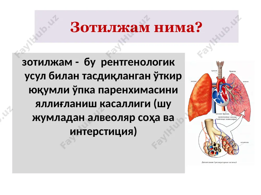 ирлиги бўйича : чузилувчан ( 6 ҳафтадан ортиқ) ўткир (6 ҳафтагача бўлган давомийлик) давомийлигига кўра: асоратлар ўпка ичи ўпка паренхималари деструкцияси (булла,абсцесс), синпневмоник плеврит, метапневмоник плеврит, эмпиема, пневмоторакс, пиопневмоторакс, медиастенит. ўпкадан ташқари полиорган етишмовчилиги, юрак-қон томир етишмовчилиги билан ривожланадиган юқумли токсик шок, двс-синдроми, рдс. этиологияси буйича возбудители бактериал (пневмококк ва бош., атипик микроорганизмлар – хламидия ва бош.) вирус (респираторно-синцитиальный вирус, вирус гриппа, парагриппа, риновирус ва бош.) замбуругли(asperqillus,candida) паразитар аралаш (бактериа-вирус ва бош.) этиологияси микроорганизмлар нафас олиш органларига нисбатан, балгамдан ажратиб олинган микроорганизмларга кўра қуйидагиларга бўлинади : 1. патоген 2. шартли-патоген 3. нопатоген патоген микроорганизмлар бу микроорганизмлар респиратор тракт хужайралари юзасидаги рецепторларига нисбатан комплементар рецепторларга эга булган микроорганизмлар. • бу нафас йўллари шиллигига микроорганизмларнинг адгезияси имконини бериб, кейинчалик микрорганизмлар кўпайишига шароит яратади • буларга пневмококк, гемофил таёқча, легионелллар, микоплазма, риккетсия, сил микобактерияси ва бошқалар киради. шартли-патоген микроорганизмлар • бу рецепторларга эга бўлмаган ва нафас олиш йўллари эпителийси жойлашмайдиган микроорганизмлар. • бронхлар …