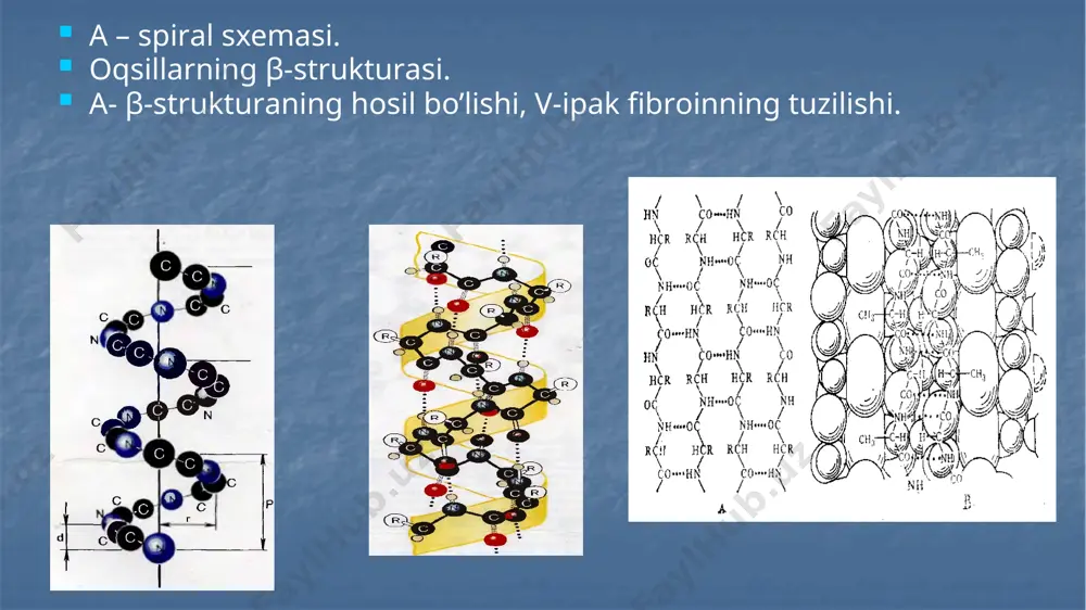 oqsillarning birlamchi strukturasi - Page 2
