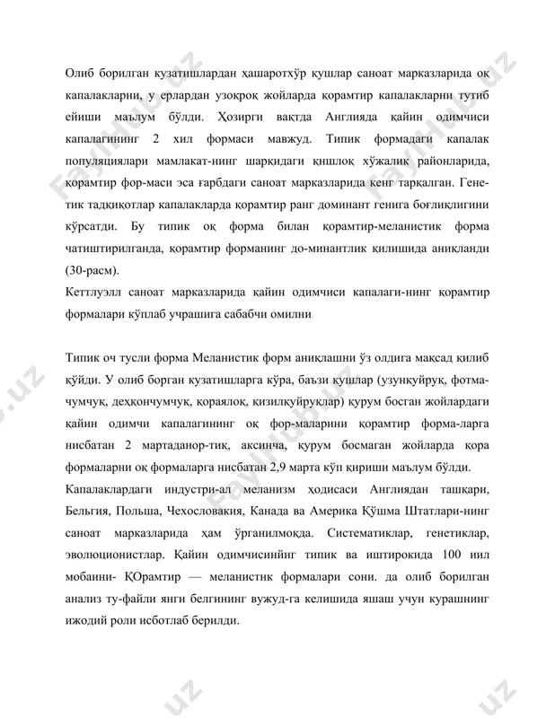 айди, г типида бу чи-зиқлар жуда яхши ифодаланган. б ва в типлари оралиқ фор-ма ҳисобланади. кўл атрофида г типидаги сариқ илонлар кўп. оролда эса а, б, ва в группадаги илонлар учрайди. илонларнинг урғочилари уруғлангандан сўнг, уларнинг насли ўрганил-ганда, ёш илонларда катта илонлар танасидаги ҳамма ранглар учраши аниқланди. лекин ёш ва вояга етган сариқ илонларни таққослаш уларда кўндаланг чизнқларнинг тар^алишидаги фарқни кўрсатиб берди. олинган маълумотларга кўра, ёш илон-ларга нисбатан вояга етган илонларда а ва б типлари кўп учраши аниқланди. бу оролдаги илонлар эмбрионининг сўнгги даврда танланиб қирилиши оролдаги оҳак қояларга боғлиқли-ги маълум бўлди. бу жойларда кўндаланг тарғил чизнклари бўлмаган оқиш формалар кўпроқ сақланади. кўндаланг тарғил ранг кўлга яқин ботқоқ жойларда ҳимоя вазифасини ўтайди ва уларни душманлар пайқамайди. шунга кўра, оролда кўндаланг тарғил формалар сони кўндаланг — тарғилсиз форма-ларга нисбатан 4 марта кам бўлади (31-расм). энди полимор-физмга эга бўл-ган популяцияларда яшаш учун кураш қандай боришини анализ қилиш учун 2 та мисол билан …