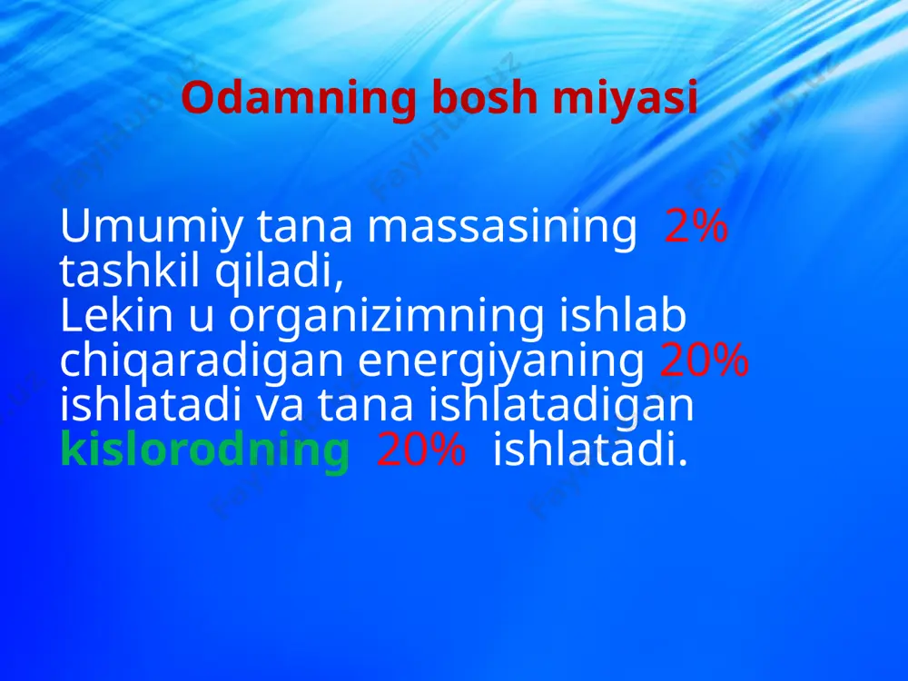 g kengayishi va torayishiga tasir qiladi, yorug'likning yorqinligiga qarab gavharning egriligini yoki ko'zlarni yorug'lik manbai tomon burishini ta'minlaydi. средний мозг oraliq miya oraliq miya - o'rta miyaning ustida va oldingi miyaning miya yarim sharlari ostida joylashgan. u ikkita asosiy bo'limga ega: ko’rish do’mboqlari (talamus) va do’mboq osti sohasi (gipotalamus). unda quyidagi markazlar joylashgan: chanqoqlik, ochlik, tananing ichki muhitining barqarorligini saqlovchi markazlar mavjud. oraliq miya ishtirokida ichki sekretsiya bezlari va vegetativ nerv tizimining funktsiyalari amalga oshiriladi. промежуточный мозг oraliq miya talamus hissiyotlardan olingan barcha ma'lumotlar talamusga birlashadi. ahamiyatsiz ma'lumotlar yo'q qilinadi va muhim voqealarni qabul qilishda ahamiyatli ma’lumotlarda faollashadi. gipotalamus tananing ichki muhitining barqarorligini saqlaydigan chanqoqlik, ochlik markazlari joylashgan. gipofiz endokrin bez gipotalamus bilan chambarchas bog'liq. i.m.sechenovning “bosh miya reflekslari” kitobida shunday yozilgan: “… ongli ongsiz hayotning hamma aktlari kelib chiqish mohiyatiga ko’ra reflekslardir”. bu fikr i.p. pavlov tomonidan shartli va shartsiz reflekslar haqidagi nazariyada rivojlantirildi. reflekslarning biologic ahamiyati organizmning funksional …