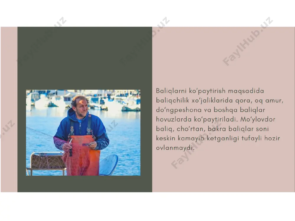 baliqlar - Page 3